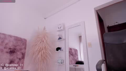 Laura Camila online show from 01/18/25, 06:43