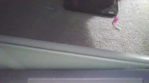 Snapshot of cammyman6900 chatting on 09/11/25, 04:01 cammyman6900 online show from 09/11/25, 04:01