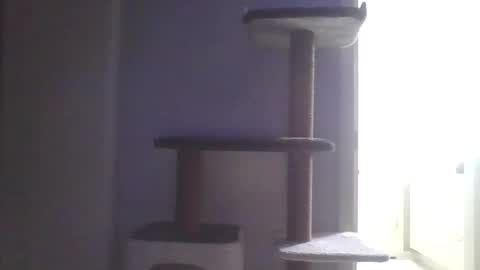 Snapshot of cammyman6900 chatting on 11/09/25, 04:55 cammyman6900 online show from 11/09/25, 04:55