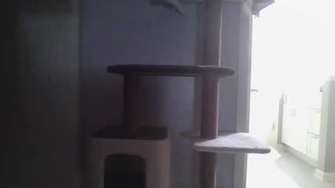 Snapshot of cammyman6900 chatting on 11/21/25, 04:22 cammyman6900 online show from 11/21/25, 04:22