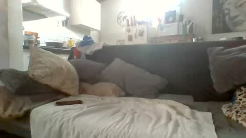 canary_braun online show from 07/09/26, 06:34