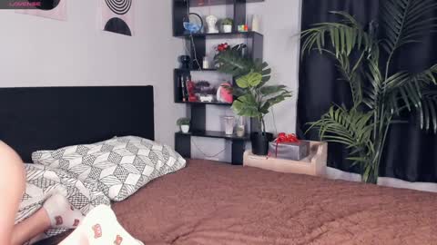 Sandy online show from 12/26/24, 09:33