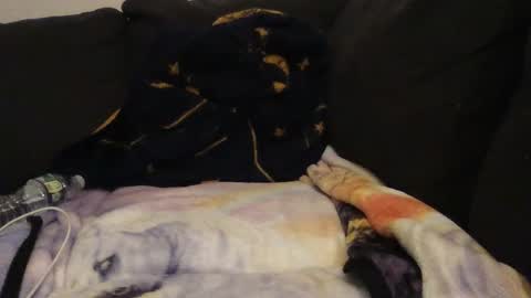 Snapshot of cannakams chatting on 09/14/25, 02:22     online show from 09/14/25, 02:22