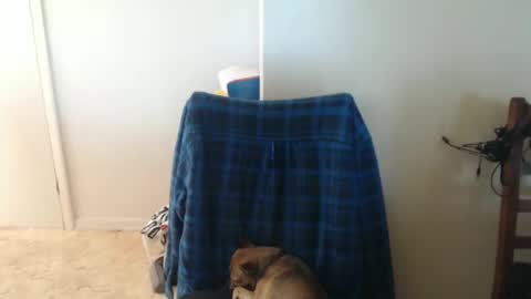 Snapshot of capt5105 chatting on 03/05/26, 03:13 capt5105 online show from 03/05/26, 03:13