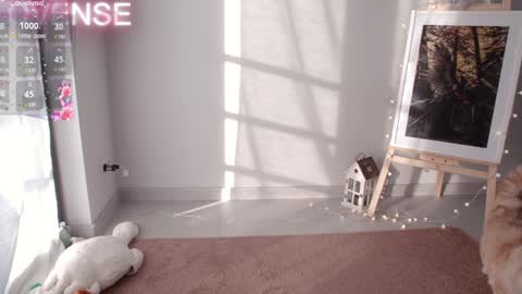 NONA    follow online show from 12/31/24, 08:37