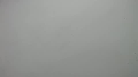 carla online show from 02/19/25, 03:05