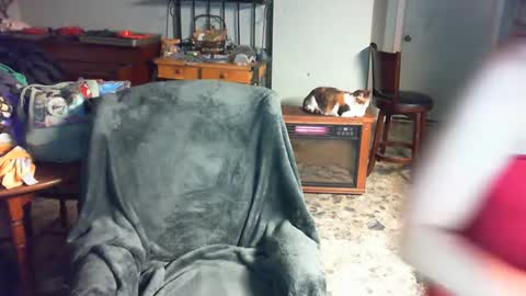 Carley online show from 12/02/24, 03:47