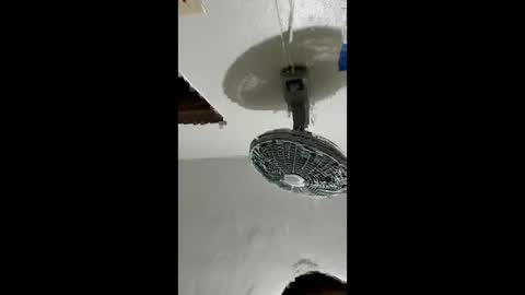 carlos201648 online show from 02/02/26, 02:38