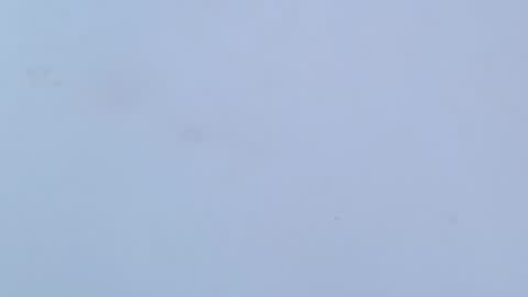 caro online show from 02/16/26, 03:24