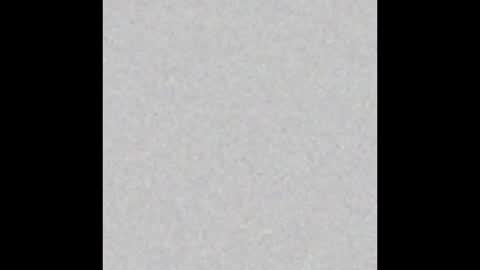 carolina online show from 12/14/24, 03:51