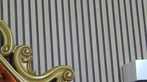 carolinahart online show from 03/24/26, 06:51