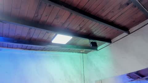 Snapshot of caroline_palmerr chatting on 02/01/26, 03:27 Carolina online show from 02/01/26, 03:27