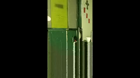 carrilloeverardo219 online show from 03/25/26, 07:58