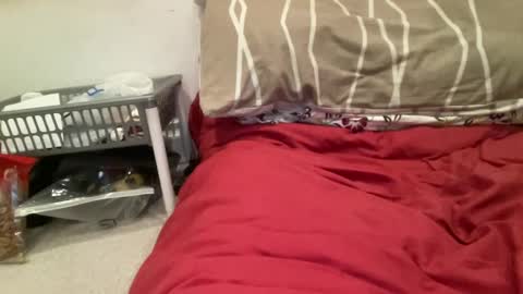 Snapshot of casanovacasaa chatting on 02/20/25, 07:19 casanovacasaa online show from 02/20/25, 07:19