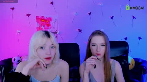 casey_meow_ online show from 06/04/26, 08:53