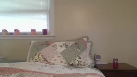 Snapshot of caseygirl6879 chatting on 05/28/26, 03:09 Casey Lakes online show from 05/28/26, 03:09