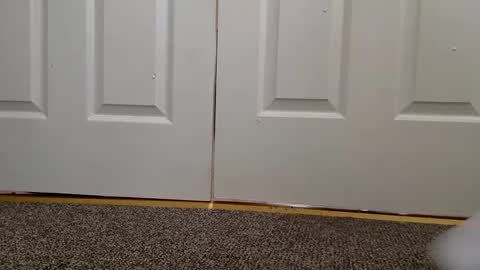 cash13bychanel online show from 12/11/24, 08:28