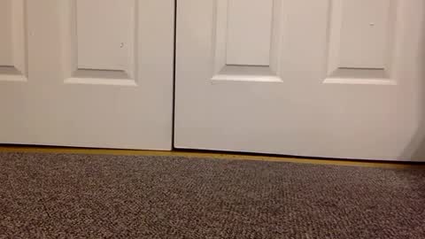 cash13bychanel online show from 01/23/25, 05:56