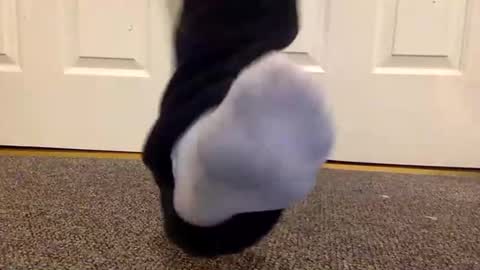 cash13bychanel online show from 01/26/25, 01:41