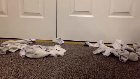 cash13bychanel online show from 02/13/25, 03:07