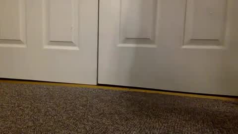 cash13bychanel online show from 03/06/25, 09:14