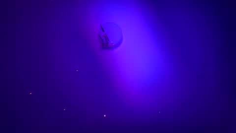 casidy1 online show from 01/21/25, 06:00