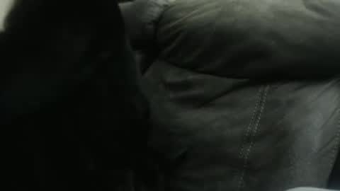 casidy1 online show from 01/23/25, 10:32