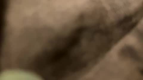 casidy1 online show from 02/02/25, 11:21