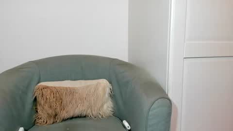 cassiecute - onlyfans account online show from 07/04/26, 06:03