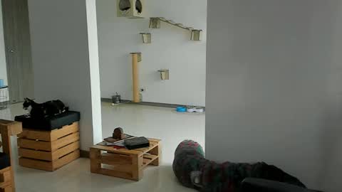 Cassandra online show from 03/22/26, 11:57