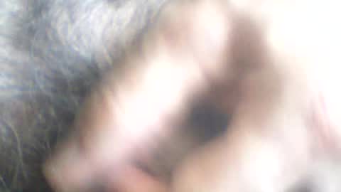 Snapshot of castells chatting on 06/24/26, 02:38 castells online show from 06/24/26, 02:38