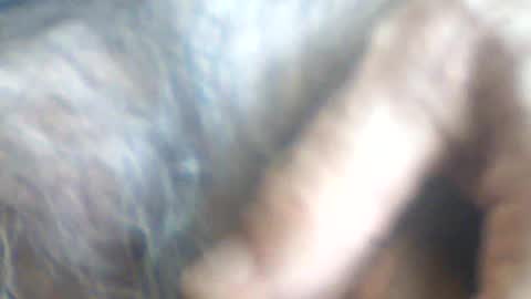 Snapshot of castells chatting on 07/02/26, 02:56 castells online show from 07/02/26, 02:56