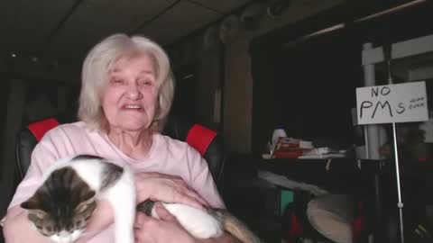 Snapshot of cat9paw chatting on 02/04/25, 09:31 cat online show from 02/04/25, 09:31