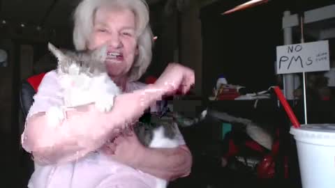 Snapshot of cat9paw chatting on 02/05/25, 06:26 cat online show from 02/05/25, 06:26