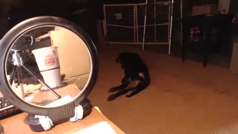 Snapshot of cat9paw chatting on 09/11/25, 06:30 cat online show from 09/11/25, 06:30