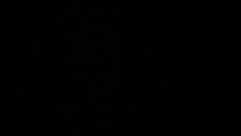 Snapshot of cata_n_cami chatting on 12/21/24, 10:08 cata_n_cami online show from 12/21/24, 10:08