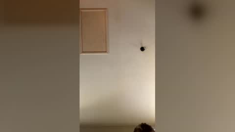 catalin40mosu online show from 04/27/26, 05:05