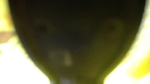 Snapshot of catalina201 chatting on 06/13/26, 02:09 catalina201 online show from 06/13/26, 02:09
