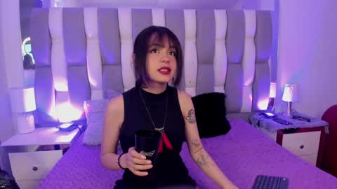 Cat  online show from 12/07/24, 02:02