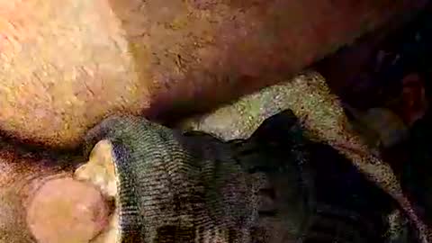 catdaddy179057 online show from 03/01/26, 02:19