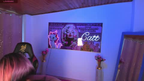 catt_monroe online show from 11/11/25, 03:23