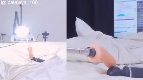 Snapshot of cattleya_annie chatting on 02/21/25, 02:06 Cattleya Annie online show from 02/21/25, 02:06