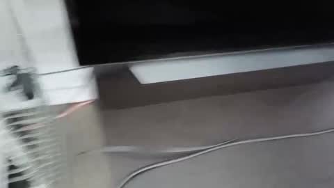 cbg65 online show from 02/04/26, 10:47