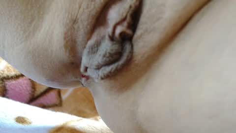 ANNYANNY online show from 03/04/26, 03:40