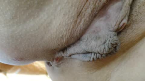 ANNYANNY online show from 03/24/26, 05:51