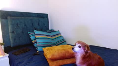 Snapshot of cedrixx10 chatting on 10/25/25, 01:02 Cedrixx10 online show from 10/25/25, 01:02