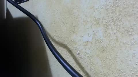 celhoduro23c online show from 11/28/25, 08:55