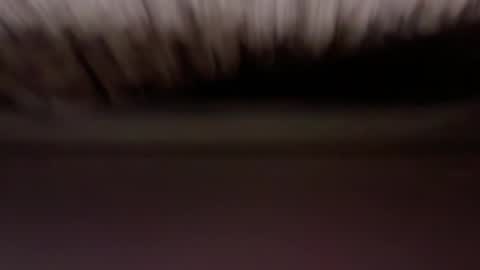 cenobitfor online show from 03/06/26, 11:28