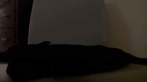 Snapshot of centerfield24 chatting on 01/14/25, 07:17 Centerfield online show from 01/14/25, 07:17