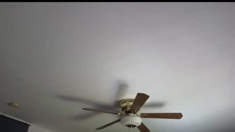 Marie online show from 04/07/26, 05:35